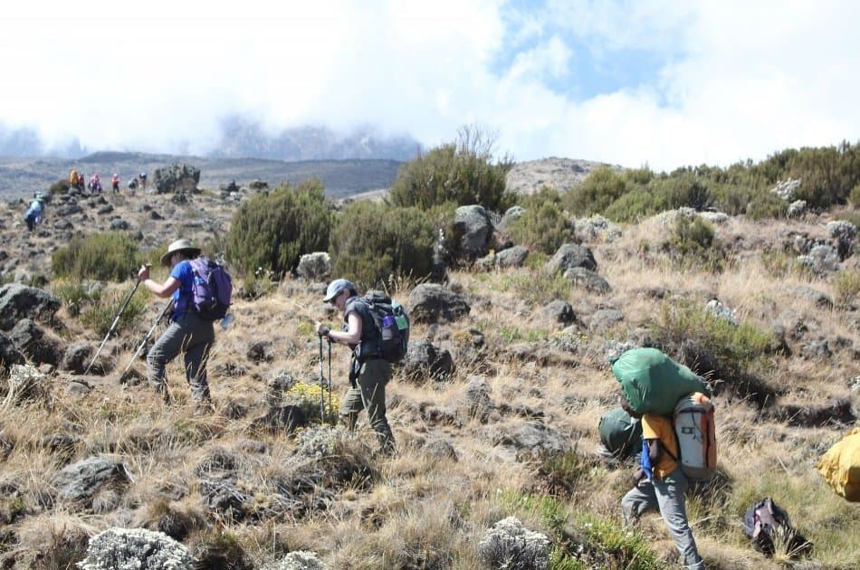 Mount Kilimanjaro Machame Route