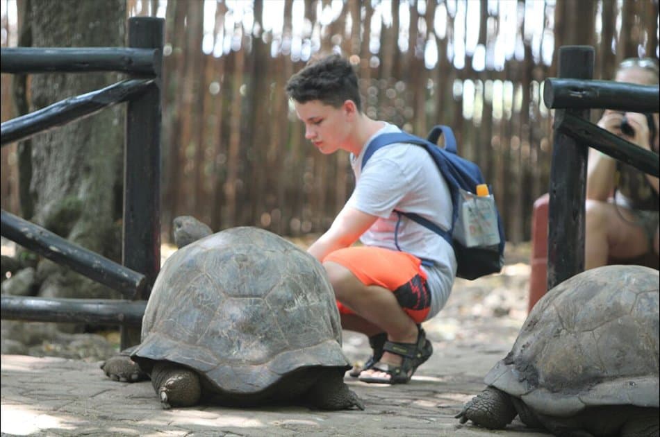 Prison Island Half Day Tour from Stone Town
