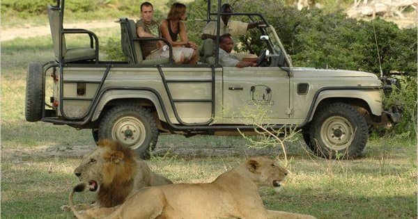 Tanzania 3 Days Selous Game Reserve Safari