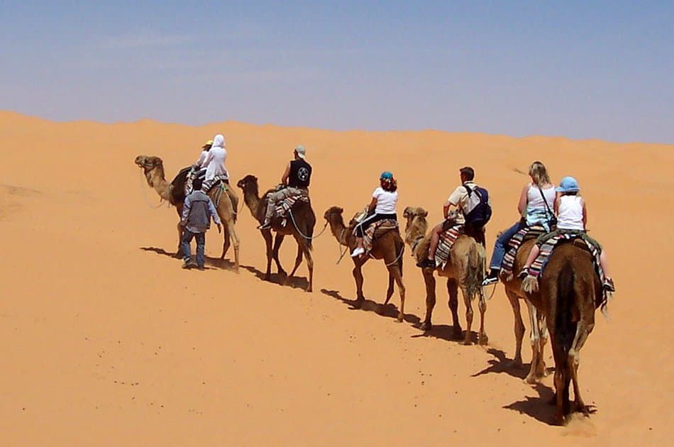 2-Day Sahara Desert Camel Trek in Tunisia