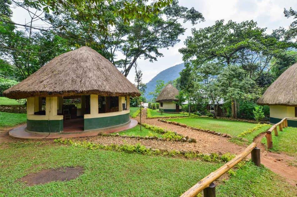 11 Days Classic Wildlife Of Uganda Tour