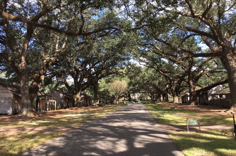 Private All Day Plantation Tour