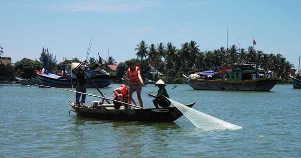 Fish &amp; Chips Tour