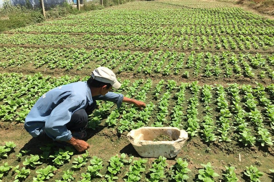 Private Countryside Tour and Cooking Class