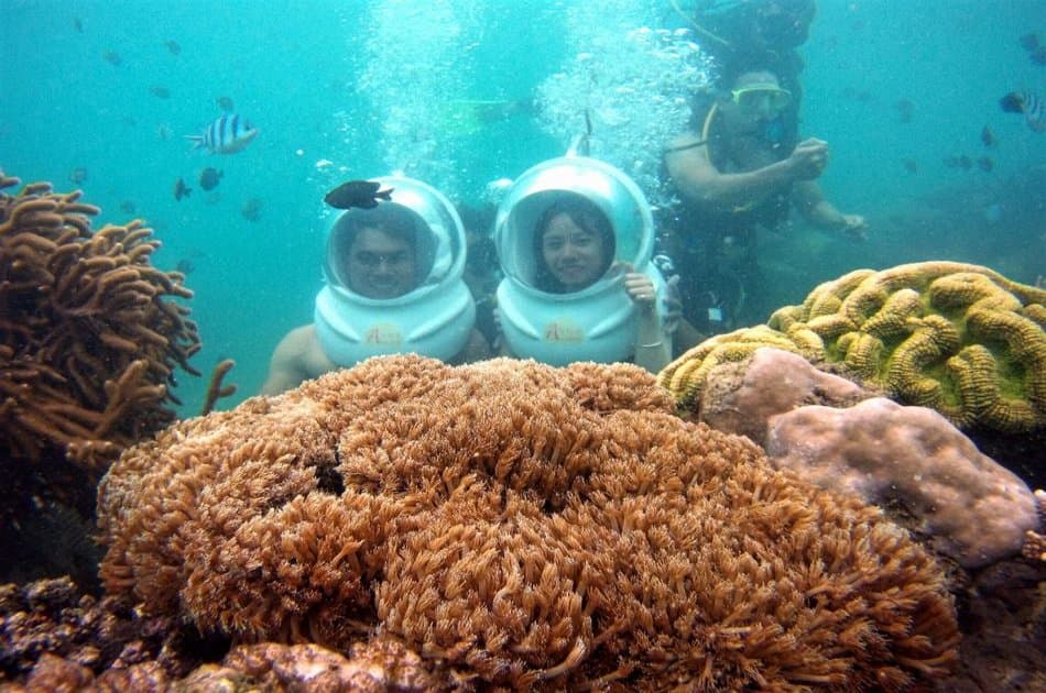 Speedboat and Snorkeling Small Group Tour