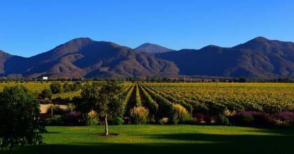 Casablanca Valley and Its Wines