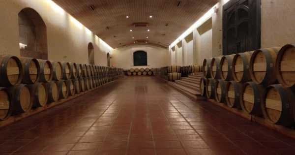 Concha Y Toro Winery - Living the Legend