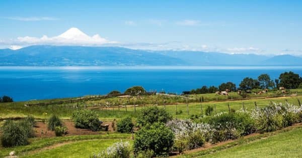 private Scenic Drive Along Coastal Roads Surrounding Llanquihue Lake