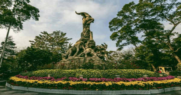 4-Hour Guided Morning Tour of Guangzhou