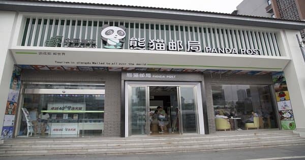 Chengdu Private Tour of Everything Panda Experience