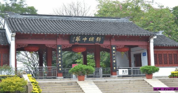 Group Day Tour of Shenzhen City Highlights From Guangzhou