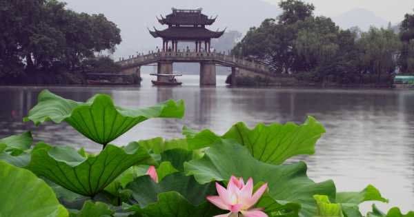 Private Day Tour of Hangzhou Highlights From Shanghai