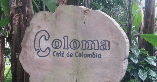 Private Coffee Tour to Hacienda Coloma From Bogota