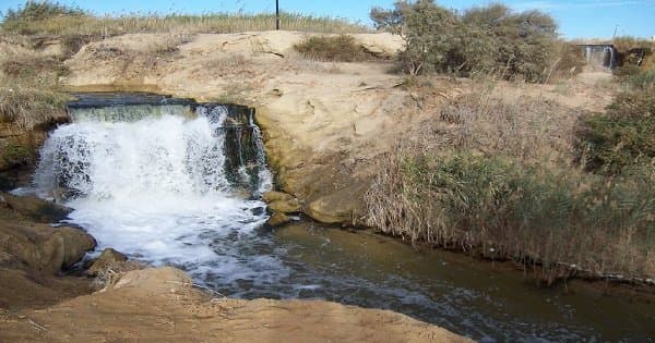 Day Tour from Cairo to Fayoum Oasis