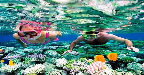 Snorkeling at Giftun Island in Hurghada