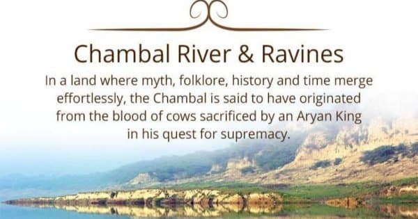 8 Day Golden Triangle And Chambal Safari Experience from Delhi