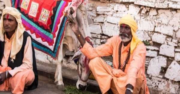 Private 5 Days Tour of Golden Triangle