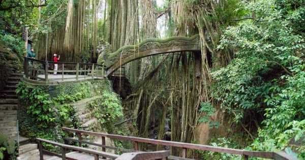 Best of Ubud with Tanah Lot Sunset Private Tour