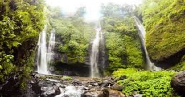 Discover the beauty of North Bali on a Full Day Tour