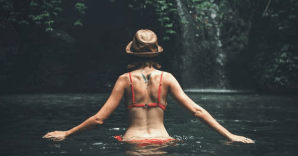 Half Day Fascinating Ubud and Tampak Siring Private Tour