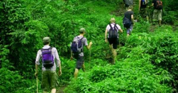 Private Day Trip to Bukit Lawang & Jungle Trekking