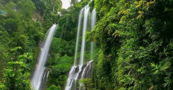 Private Hiking Tour at the Stunning Sekumpul Waterfall, Bali