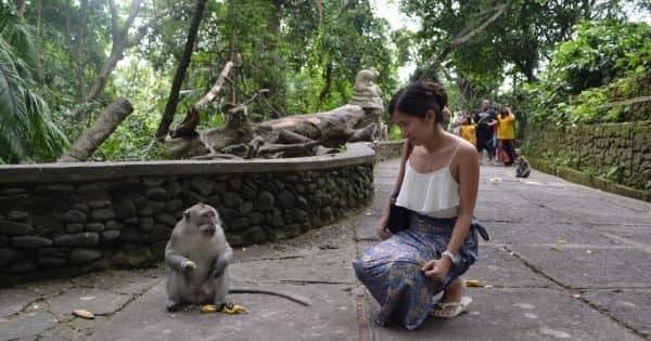 Ubud Sightseeing Full Day Tour