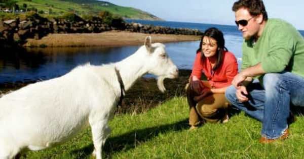 Giants Causeway, Dunluce Castle & Dark Hedges Day Tour Group Tour from Dublin