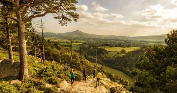 Private Day Tour of Wicklow - Glendalough