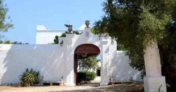 EVO Oil Tasting In a Masseria (Farmhouse)