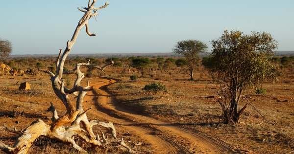 1 Day Mombasa to Tsavo East Safari