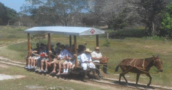 Best of Yucatan - 3 Days VIP Private Tour from Cancun/Riviera Maya