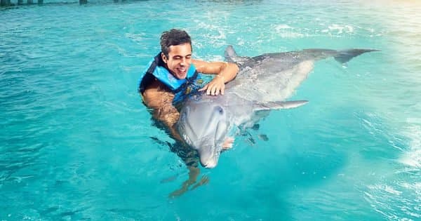Dolphin Swim Adventure in Isla Mujeres