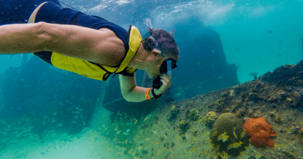 Snorkel and Swim With Turtles, A Fun Way to Discover 4 Areas of Cancun!
