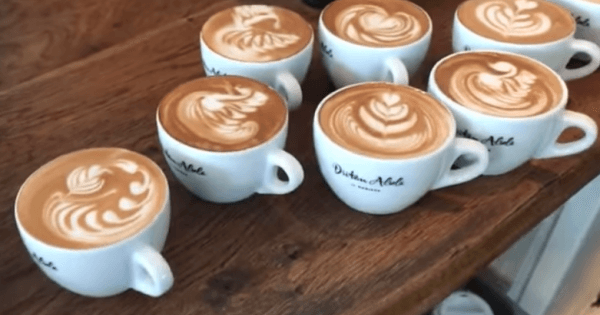 Amsterdam Barista Private Workshop