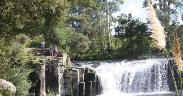 Half Day Bay of Islands Private Tour – Paihia & Kerikeri