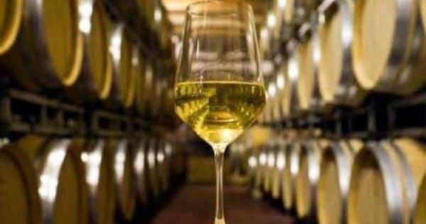 Marlborough Wine and Vineyard Tour