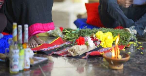 3 Day Amazonian Plant Teacher Retreat