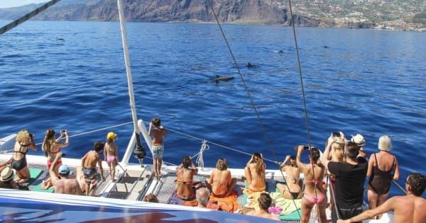 Amazing Land & Sea Pack Tour - Open Roof 4x4 + Dolphin