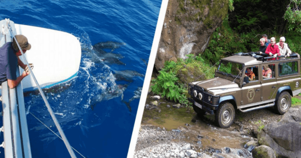 Cabo Girão Skywalk, Wine & Sea Dolphins Watching