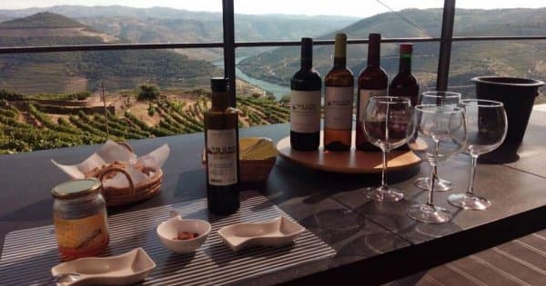 Douro Valley Small Group Tour with Wine Tastings & Lunch from Porto
