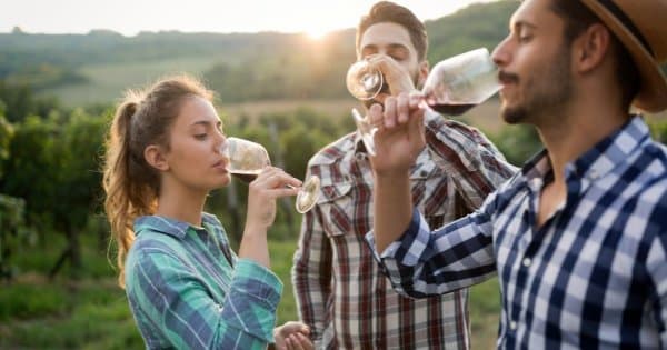 Full-Day Douro Valley Wine and Food Tour from Porto