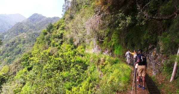 Rabaçal Levada Walk + Open Roof 4x4 Tour