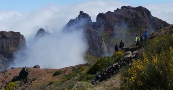 Spectacular Land & Sea Pack Tour- Open Roof 4x4 +Dolphin