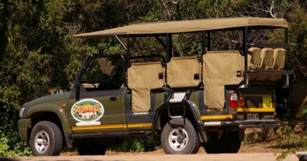 South Africa Adventures on a 4 Day Kruger Classic Game Drive - Small Group Tour