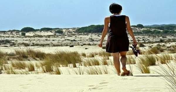 Doñana Nature Park - Off the Beaten Path Tour