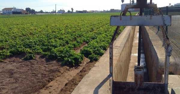 Private Tour: All about Horchata and Chufa in Valencia