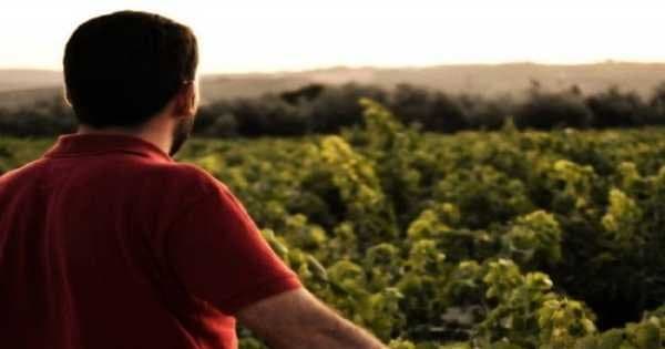 Semi Private Jerez Tour From Seville