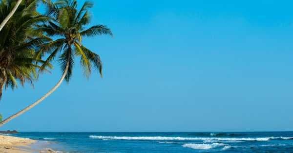 15 Day Private Sri Lanka 'Miracle' Tour