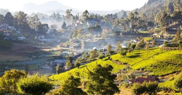 Highland Highlights from Kandy